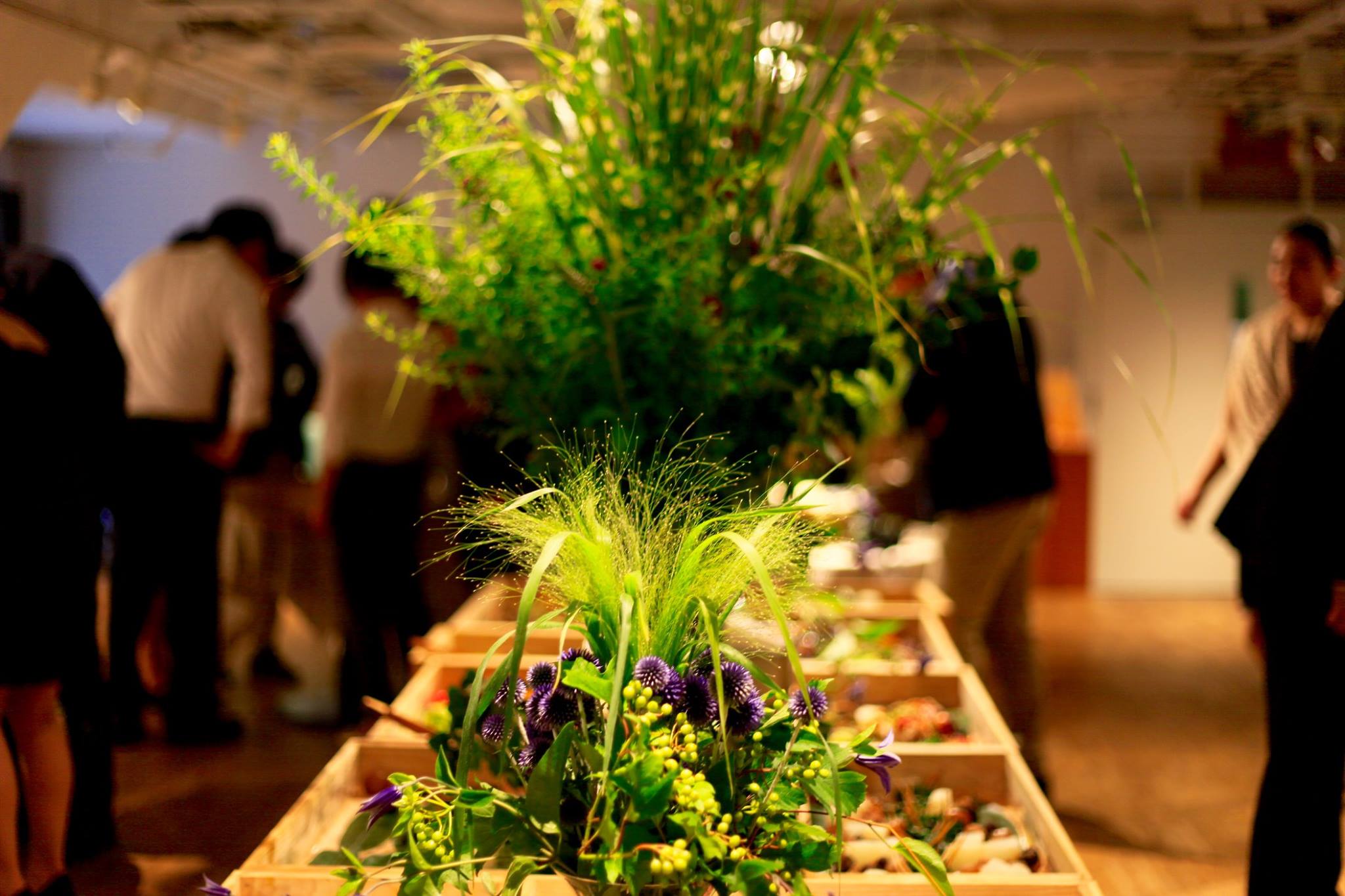 13603601_893841890744690_4805446795776531371_o